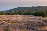 View from a top of the Ore Mountains in Czech Republic at sunset