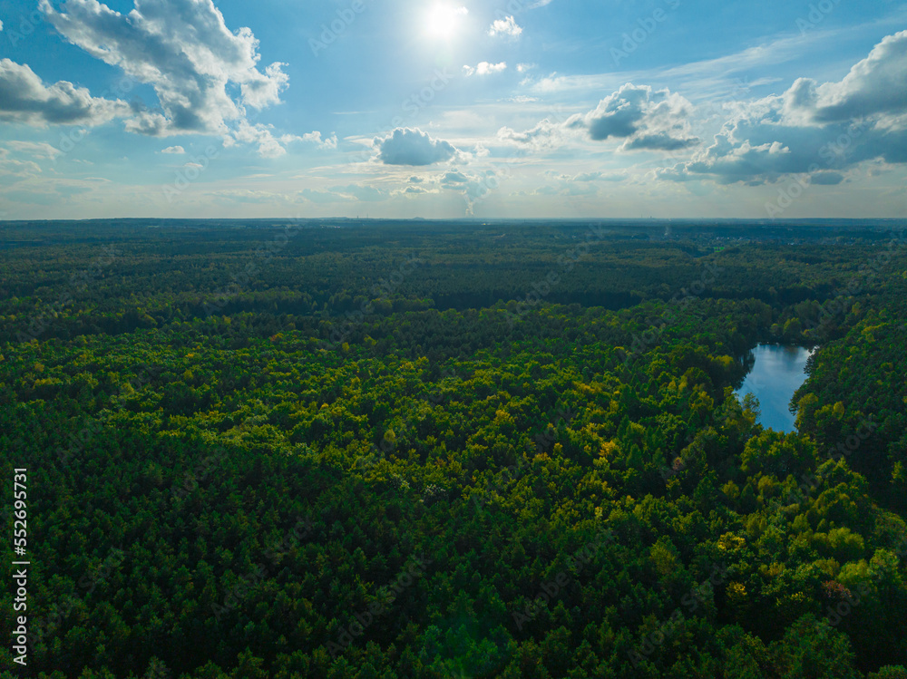 Obraz premium A view from the air on huge areas of the forest. Forest landscape concept, big forest. Environmental protection, care for nature.