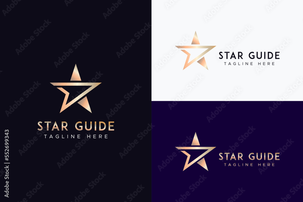 Star Guide Abstract Concept Business Entertainment and Education with Gold Color Logo