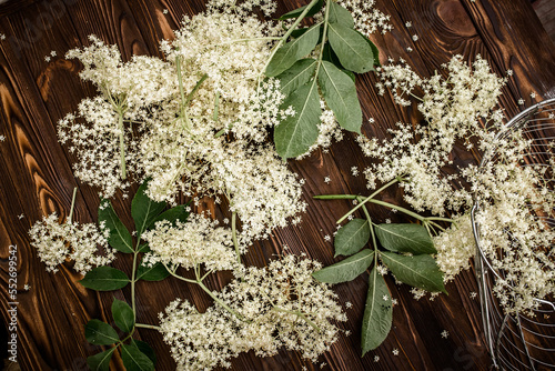 Close-up of elderberry flowers on a wooden village table freshly harvested for herbal medicine or herbal aromatic tea used in alternative medicine. photo