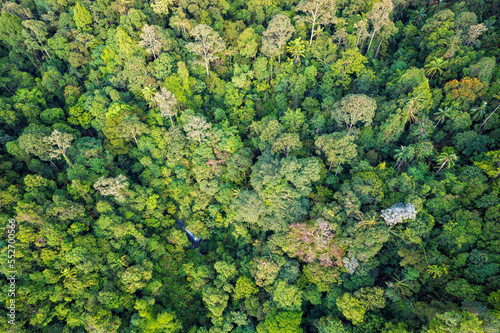 aerial view of tropical jungle in the mountain