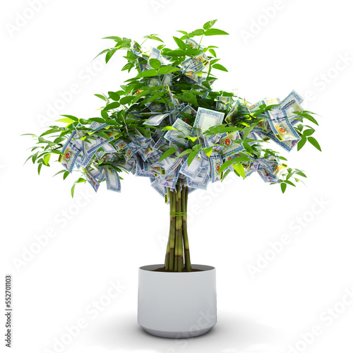 Myanmar kyat tree. 3d rendering of Money on tree isolated on white background. financial growth