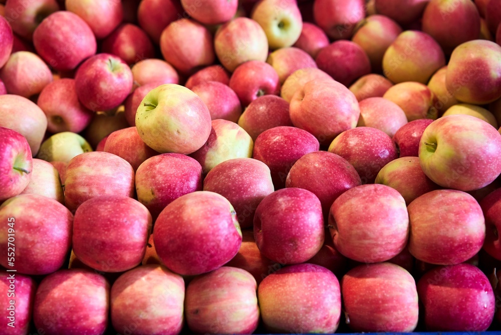 Red organic apples in large quantities. High quality photo Red organic apples in large quantities. High quality photo