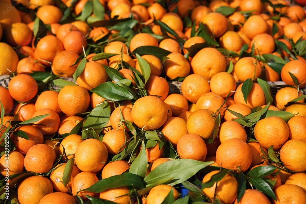 Oranges, mandarins background and texture. High quality photo