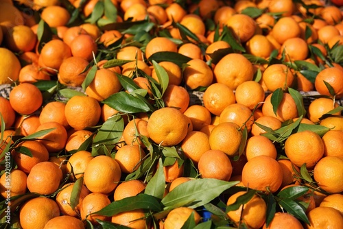 Oranges, mandarins background and texture. High quality photo