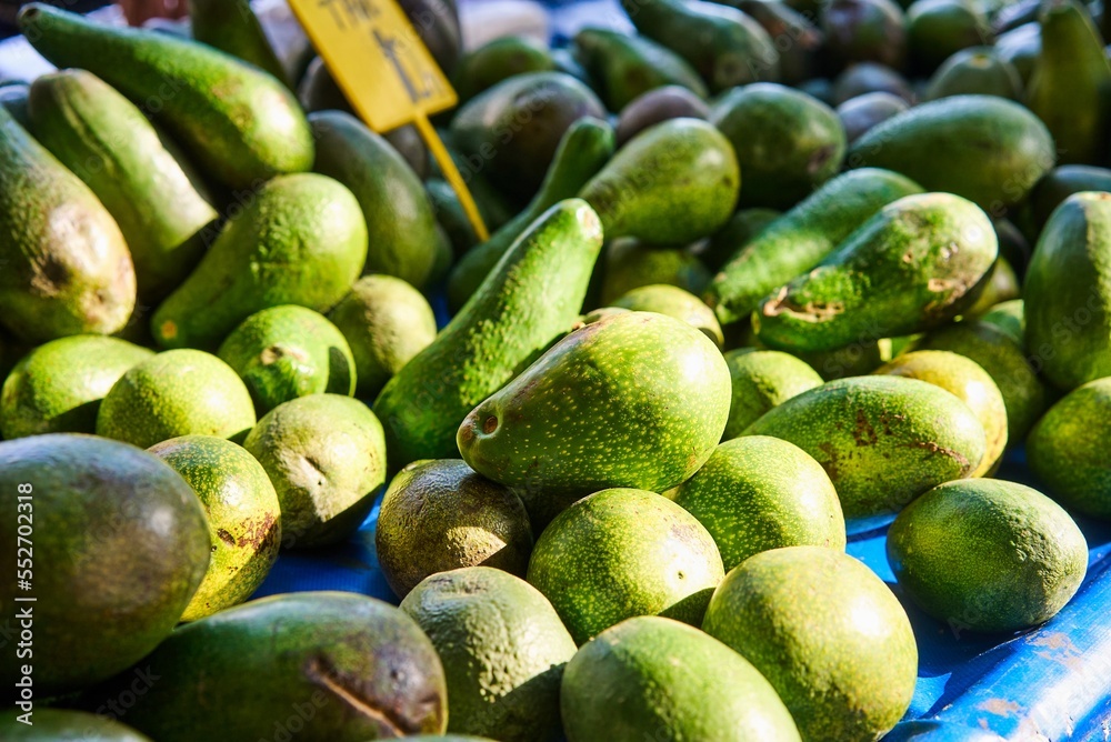 Young Woman Choosing Avocados in Grocery market. Concept of healthy food, bio, vegetarian, diet. High quality photo. High quality photo