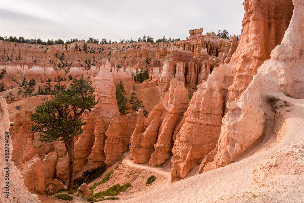 Scenic rocks from the Navajo Loop Trail leading through Bryce Canyon Scenic rocks from the Navajo Loop Trail leading through Bryce Canyon
