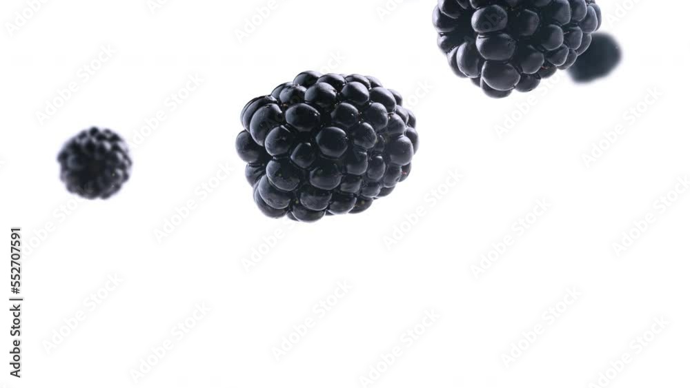 Falling blackberries  Background, Animation  Close-up of the sweet red blackberry   falling  on a white background  