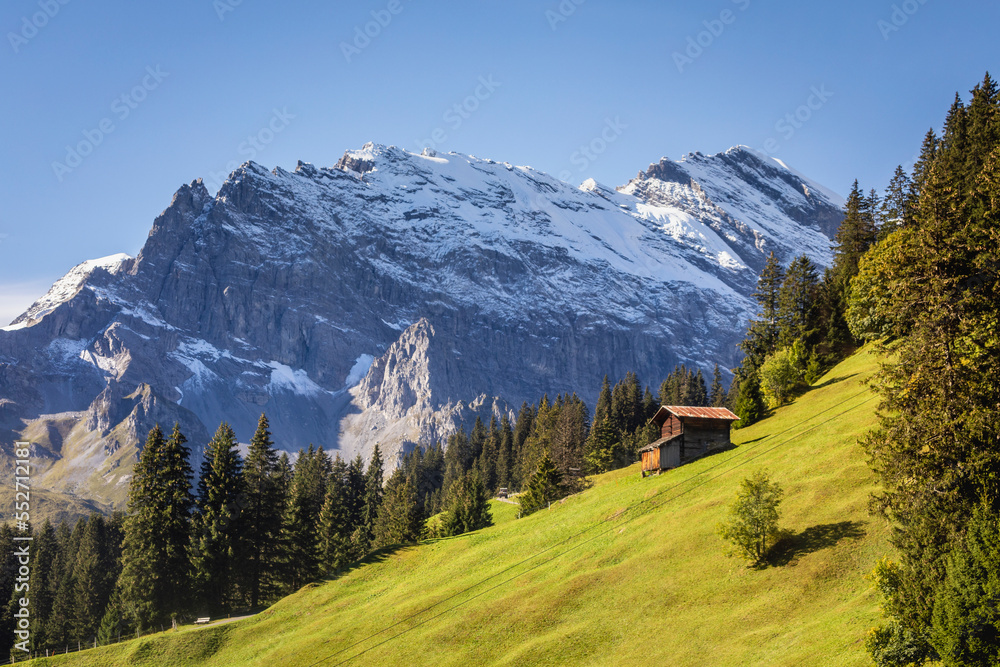 Snowcapped Bernese Swiss alps and alpine farms, Switzerland