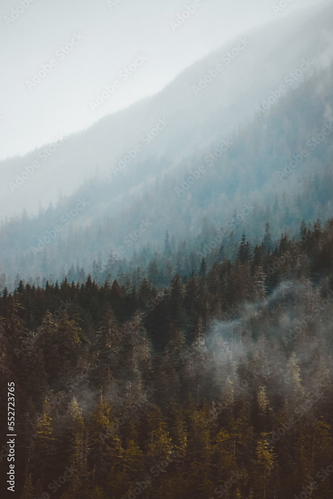 Morning fog in the Tongass National Forest of Southeast Alaska