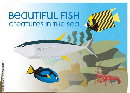 Creatures living in the beautiful sea,fish living in the sea, Tuna,spiny lobster,美しい海の中の生き物達,海の魚