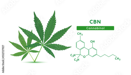 Green marijuana leaves and Chemical formula molecular structure Cannabinol (CBN) isolated on white background. Vector EPS10. Alternative herbs. Medical and scientific concepts.