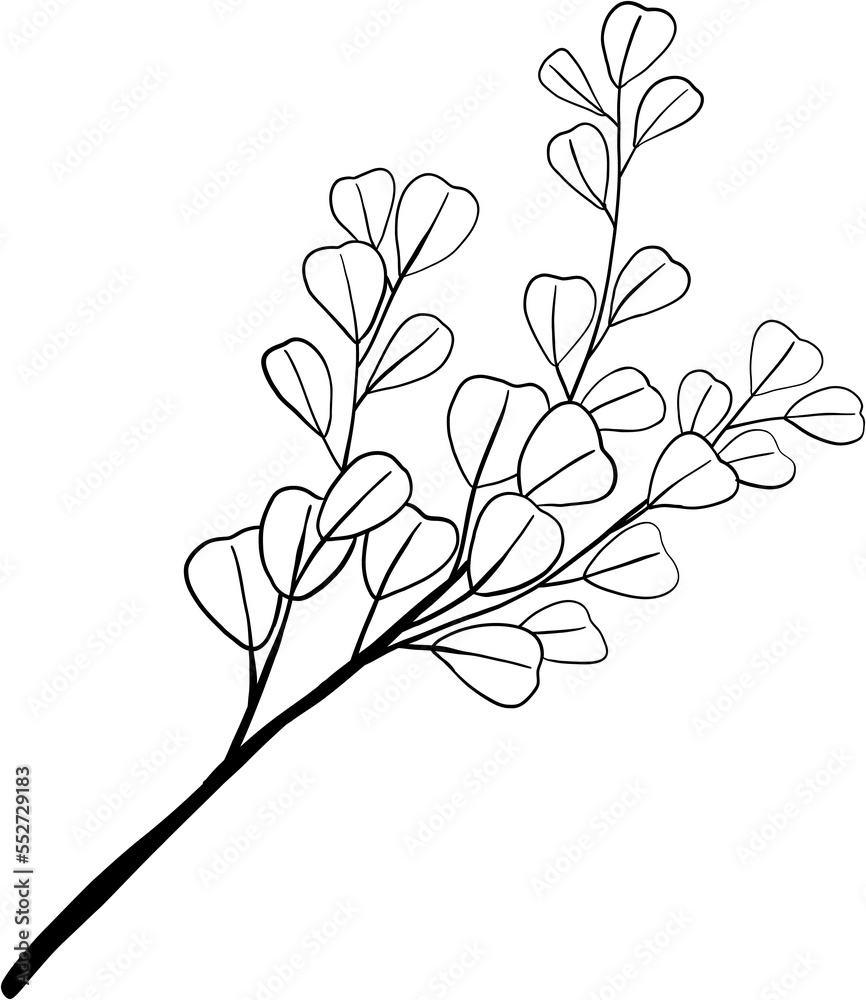simplicity eucalyptus leaf freehand drawing. simplicity eucalyptus leaf freehand drawing.
