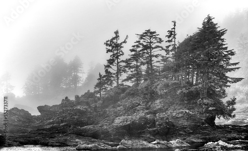 Rocky shores with foggy forested area. © Alain Bechard