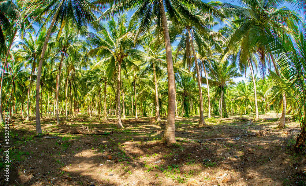 Thailand beach Chumphon zone Thailand beach Chumphon zone