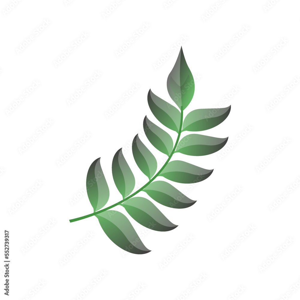 curved tropical leaf vector illustrator
