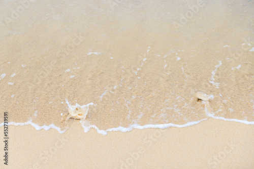 白い砂浜の白い石をを洗う小さな波