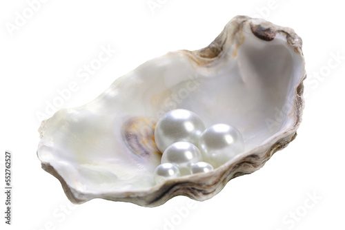 Pearl shell isolated on white