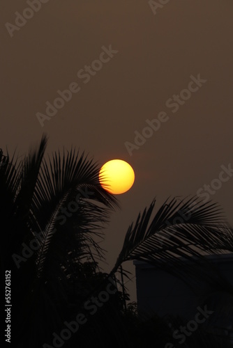 sunset in the desert