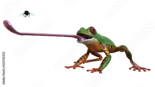 amazonas, frosch, grün, orange, nass, zunge, fliege, png