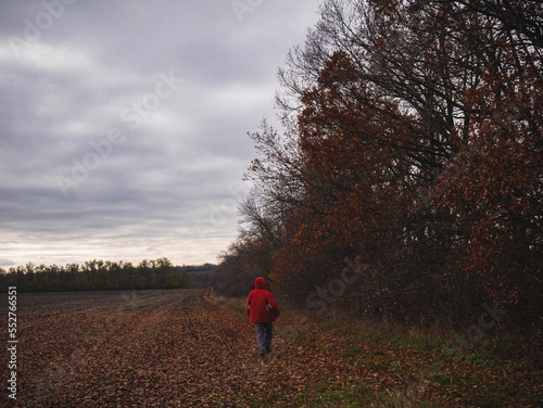 walking in the woods