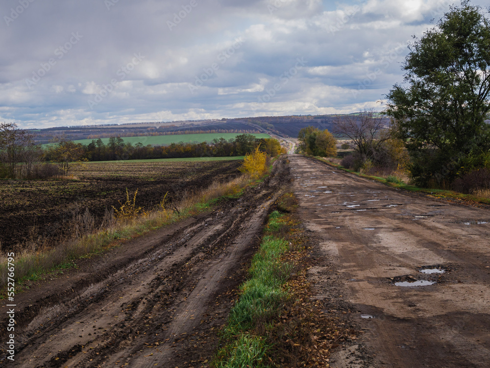 Fototapeta premium path in the field