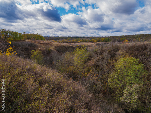 landscape in the forest