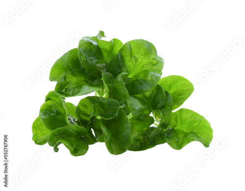 Fresh watercress isolated transparent png