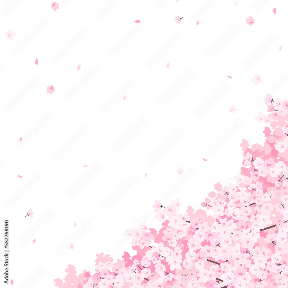 満開の桜　フレーム・背景素材（正方形）