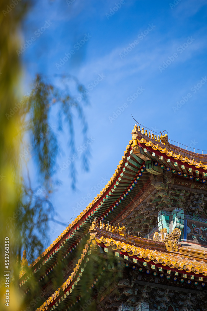 Fototapeta premium the palace museum in autumn 