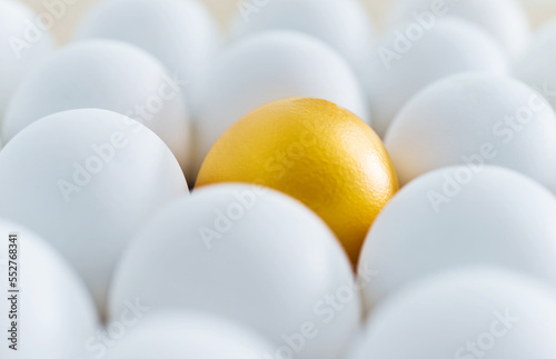 Single golden egg among white eggs