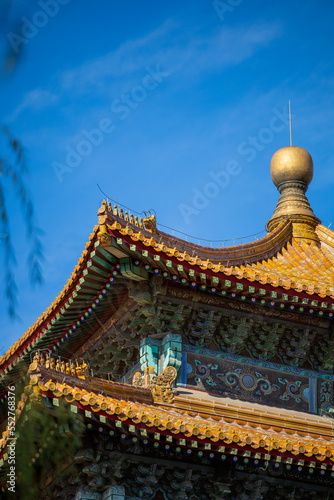 the palace museum in autumn 