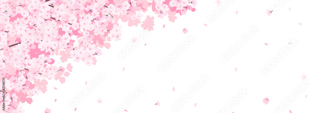 満開の桜　フレーム・背景素材（バナー向け横長）