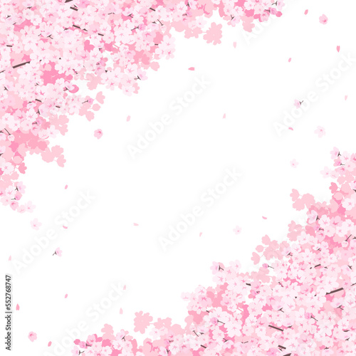 満開の桜　フレーム・背景素材（正方形）