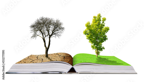Open book with live and dead tree isolated on transparent background, PNG. Global warming or climate change concepts.