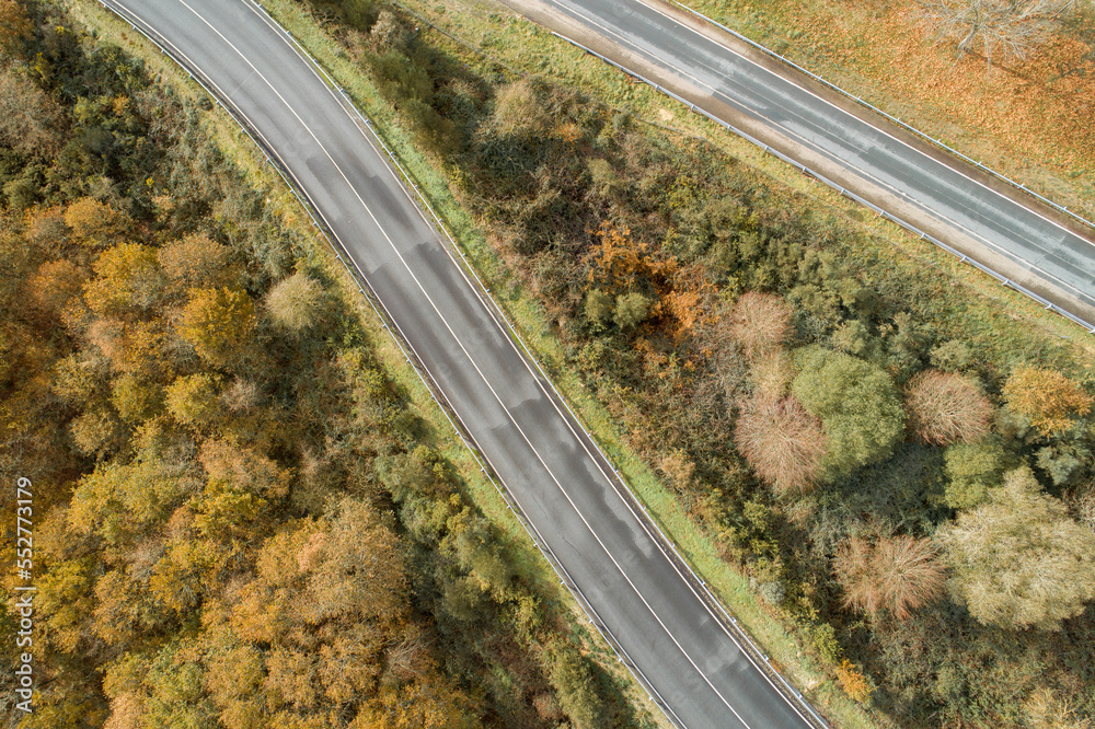 aerial view of a road and a forest in autumn, autumn colors