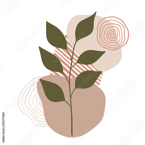 Aesthetic leaf plant with abstract shapes. Minimalist style.
Hand drawn.
