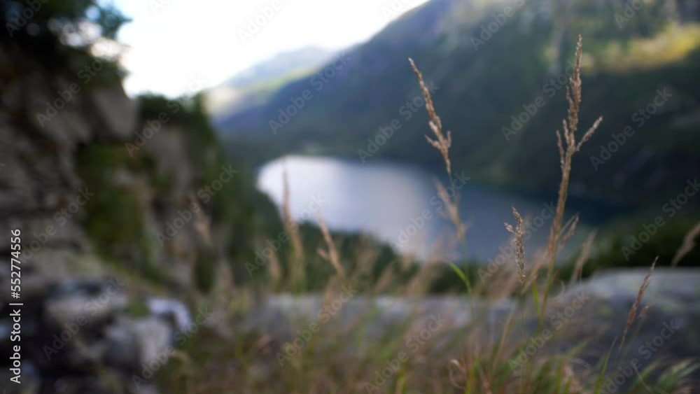 Lake in the mountains. Morskie Oko view from the top of the mountain. The wind is blowing on the grass in the slow-motion video. Lake in the mountains. Morskie Oko view from the top of the mountain. The wind is blowing on the grass in the slow-motion video.