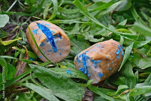 Close-up of a sausage filled with toxin. Poison bait for dogs.
