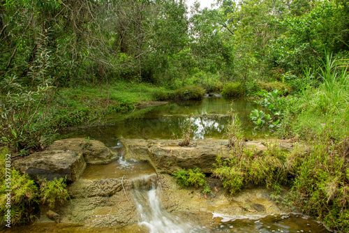 A scenic view of calm creek