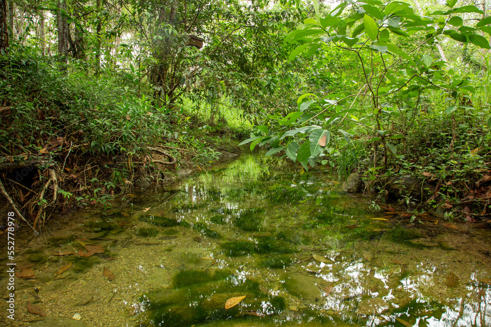 A scenic view of calm creek A scenic view of calm creek