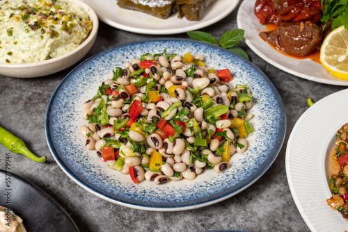 Traditional Turkish and Greek dinner appetizer table. Mediterranean appetizer concept. Dry cowpea salad, roasted eggplant salad, stuffed olives, stuffed peppers, gavurdagi salad