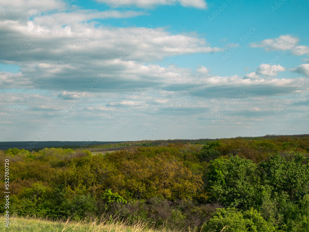 Fototapeta premium field and sky