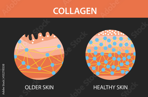 Collagen, older skin and  hearlthy skin ,Protection Skin, vector design
