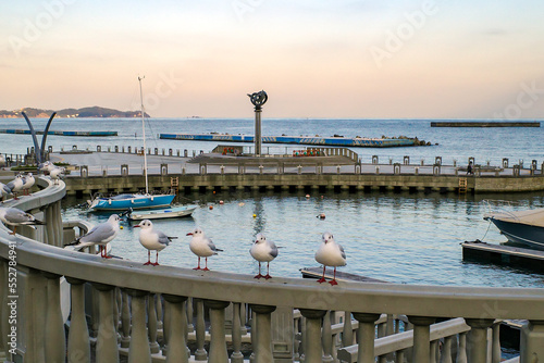 熱海の親水公園の海と鳥