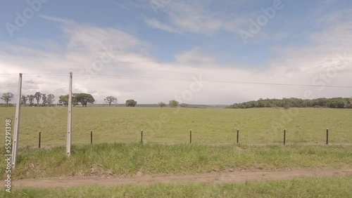 Campo em movimento
