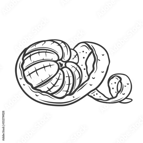 Mandarin in spiral peel line icon vector illustration. Hand drawn outline zest twist and orange, tangerine or clementine whole peeled fruit, skin of sweet mandarin cut into swirl and rind curl