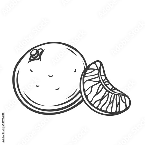 Mandarins line icon vector illustration. Hand drawn outline whole tropical fruit with skin and juicy segment part of citrus, peeled wedge of mandarin or orange for jam and juice, Christmas eating