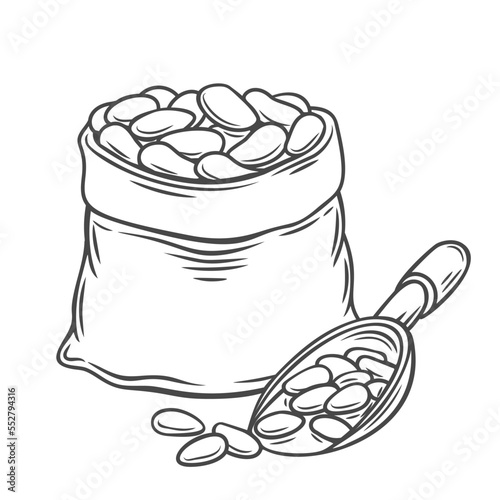 Sack with cacao beans line icon vector illustration. Hand drawn outline burlap bag full of harvest of dry coffee grain for grinder, legumes or ground cacao, jute package sack and scoop with seeds