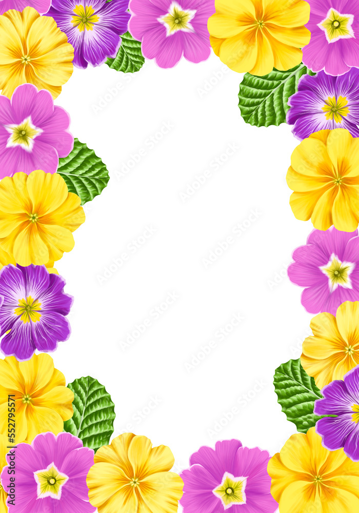 floral frame with drawing primula flowers at white background, template for cover design, hand drawn botanical illustration